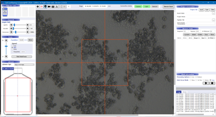 Cell Confluency